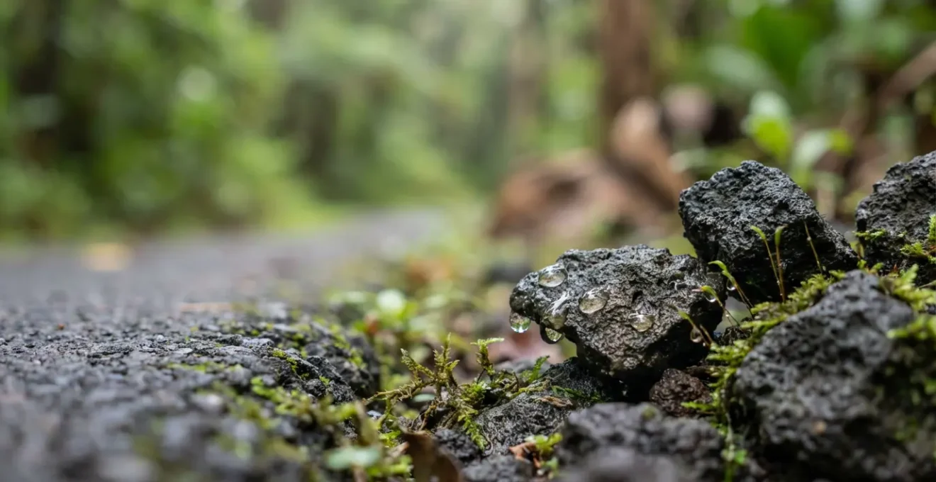 Route étroite de montagne bordée de cascades et végétation tropicale humide
